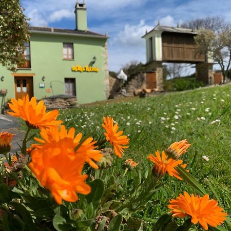 Os Tres Teixos Pension San Acisclo Buitenkant foto